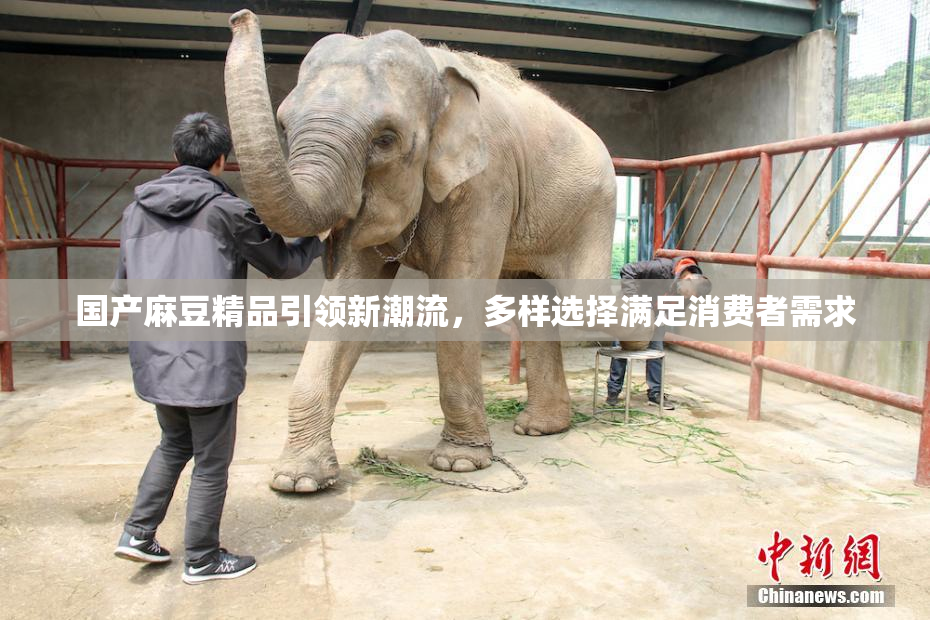国产麻豆精品引领新潮流，多样选择满足消费者需求