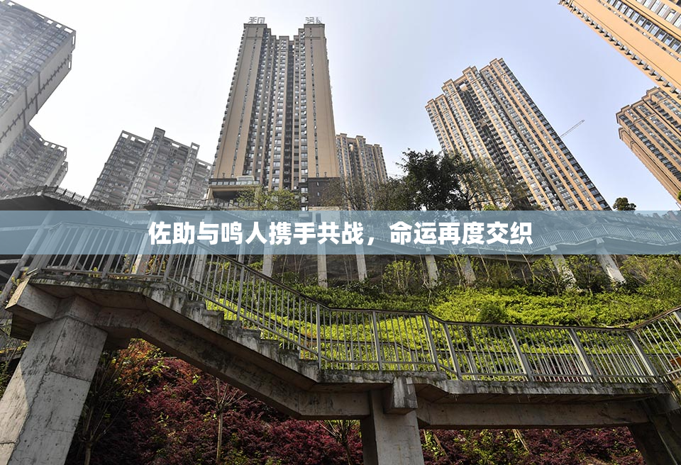 佐助与鸣人携手共战，命运再度交织