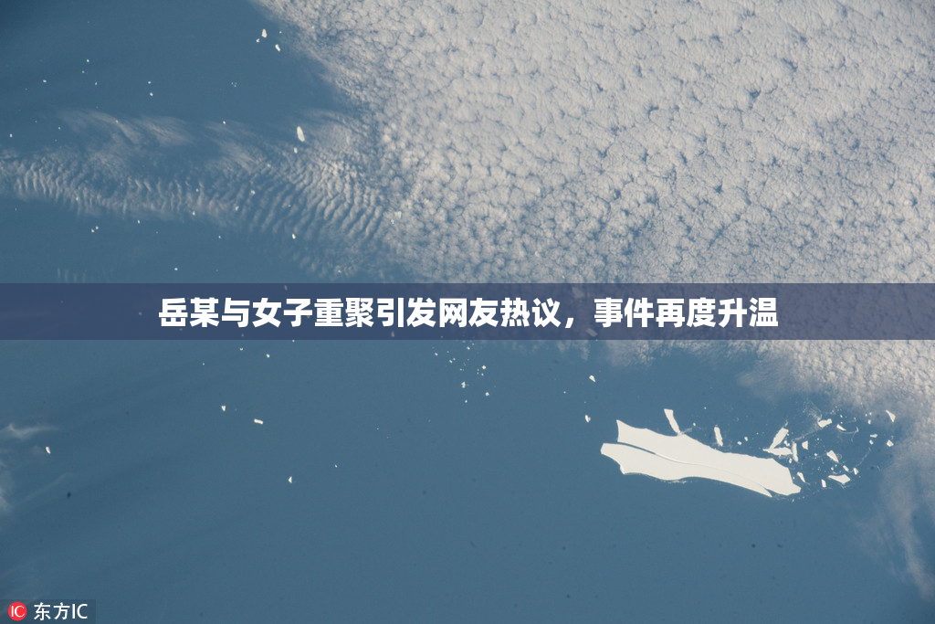 岳某与女子重聚引发网友热议，事件再度升温