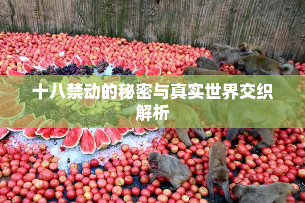十八禁动的秘密与真实世界交织解析