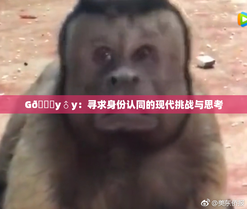 G🈚y♂y：寻求身份认同的现代挑战与思考
