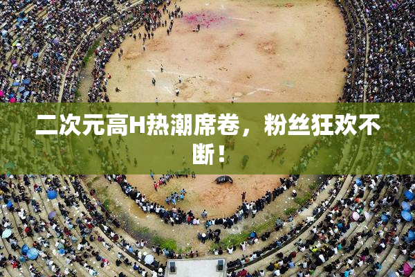 二次元高H热潮席卷，粉丝狂欢不断！