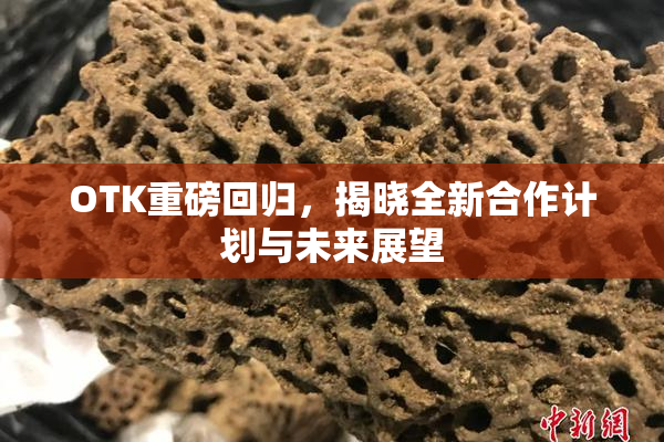 OTK重磅回归，揭晓全新合作计划与未来展望