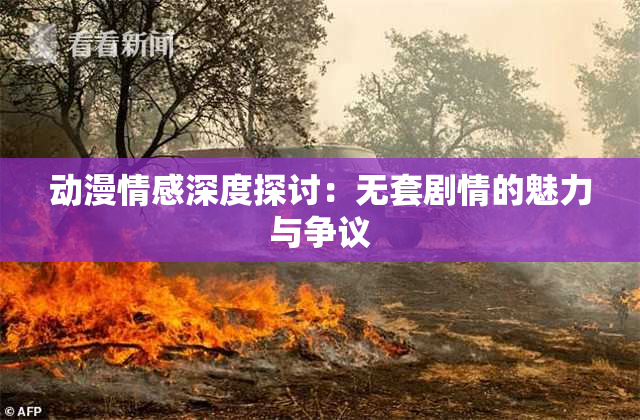 动漫情感深度探讨：无套剧情的魅力与争议