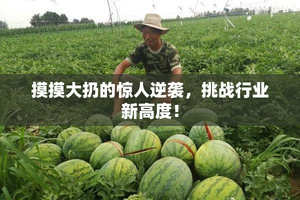摸摸大扔的惊人逆袭，挑战行业新高度！