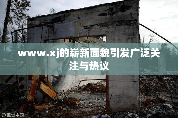 www.xj的崭新面貌引发广泛关注与热议