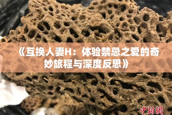《互换人妻H：体验禁忌之爱的奇妙旅程与深度反思》