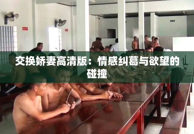 交换娇妻高清版：情感纠葛与欲望的碰撞