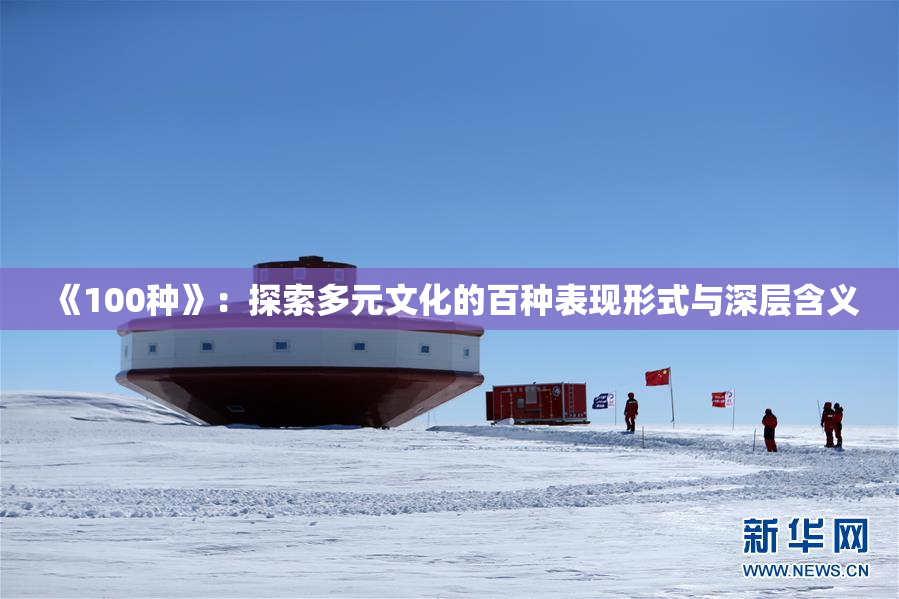 《100种》：探索多元文化的百种表现形式与深层含义