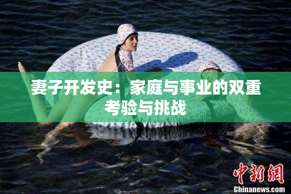妻子开发史：家庭与事业的双重考验与挑战
