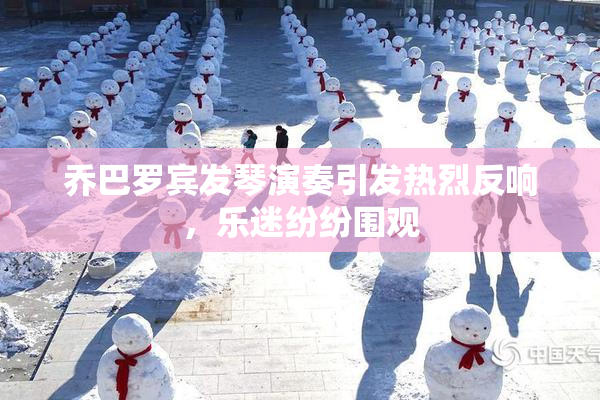 乔巴罗宾发琴演奏引发热烈反响，乐迷纷纷围观