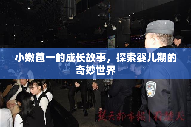 小嫩苞一的成长故事，探索婴儿期的奇妙世界