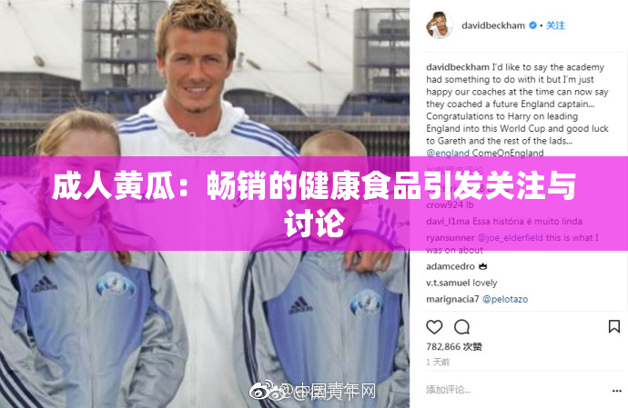 成人黄瓜：畅销的健康食品引发关注与讨论
