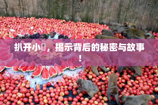 扒开小泬，揭示背后的秘密与故事！