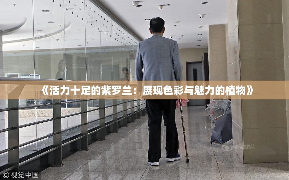 《活力十足的紫罗兰：展现色彩与魅力的植物》