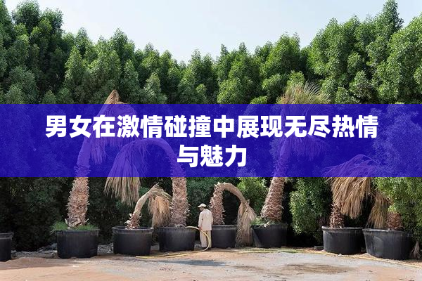 男女在激情碰撞中展现无尽热情与魅力