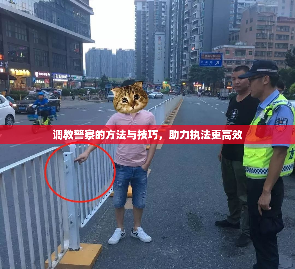 调教警察的方法与技巧，助力执法更高效