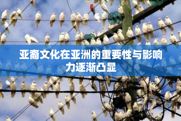 亚裔文化在亚洲的重要性与影响力逐渐凸显