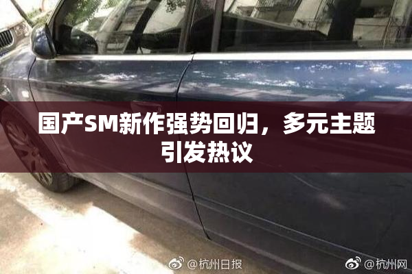 国产SM新作强势回归，多元主题引发热议