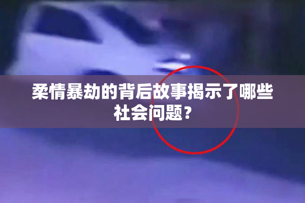 柔情暴劫的背后故事揭示了哪些社会问题？