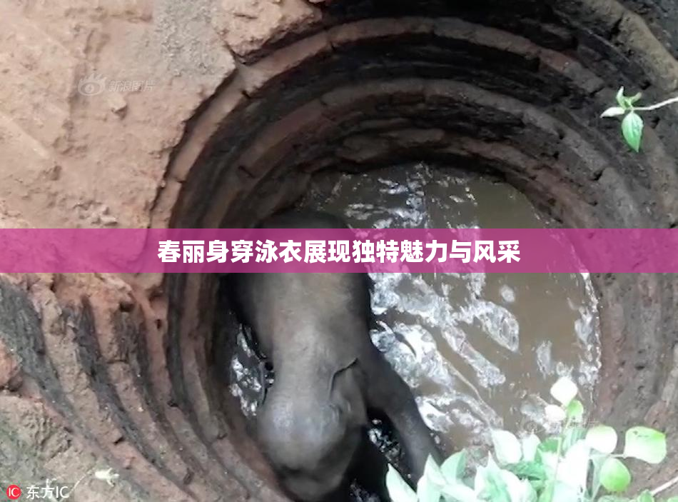 春丽身穿泳衣展现独特魅力与风采