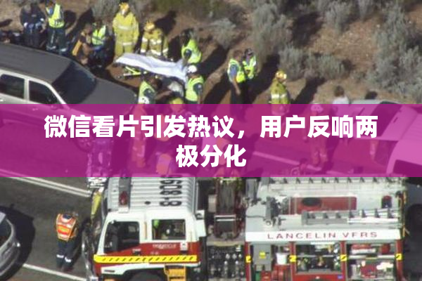 微信看片引发热议，用户反响两极分化