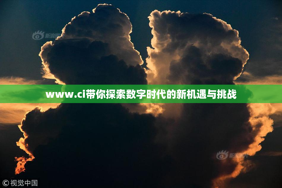 www.ci带你探索数字时代的新机遇与挑战