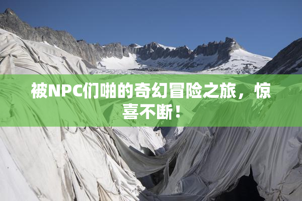 被NPC们啪的奇幻冒险之旅，惊喜不断！