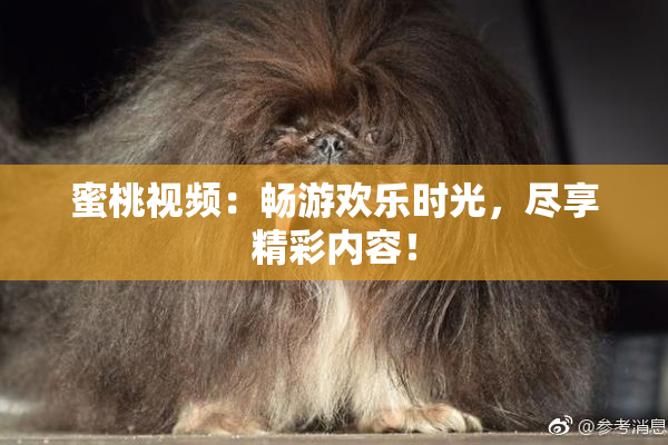 蜜桃视频：畅游欢乐时光，尽享精彩内容！