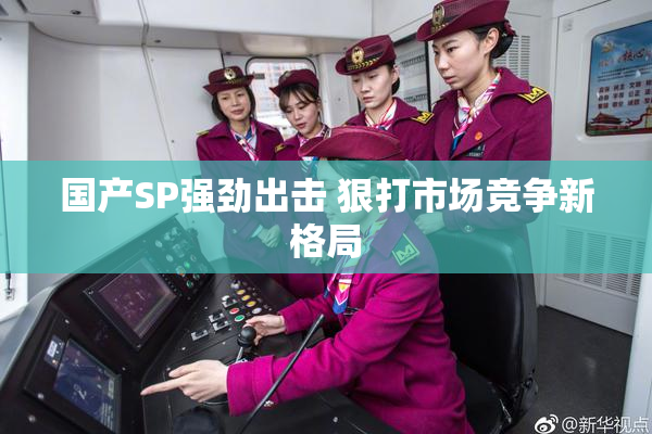 国产SP强劲出击 狠打市场竞争新格局