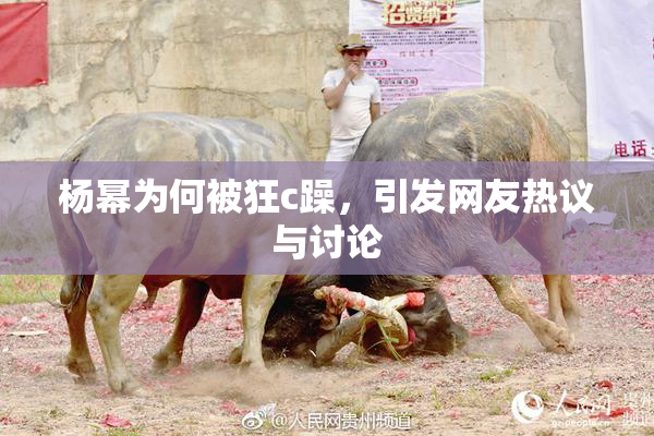 杨幂为何被狂c躁，引发网友热议与讨论