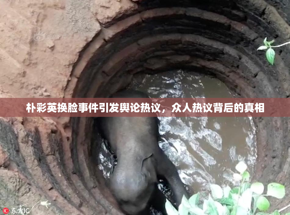 朴彩英换脸事件引发舆论热议，众人热议背后的真相