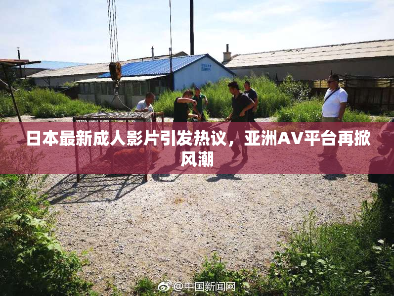 日本最新成人影片引发热议，亚洲AV平台再掀风潮
