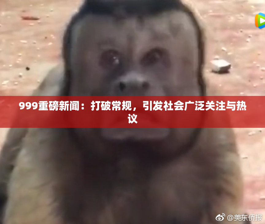 999重磅新闻：打破常规，引发社会广泛关注与热议
