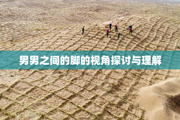 男男之间的脚的视角探讨与理解