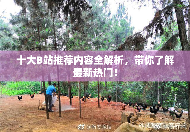 十大B站推荐内容全解析，带你了解最新热门！