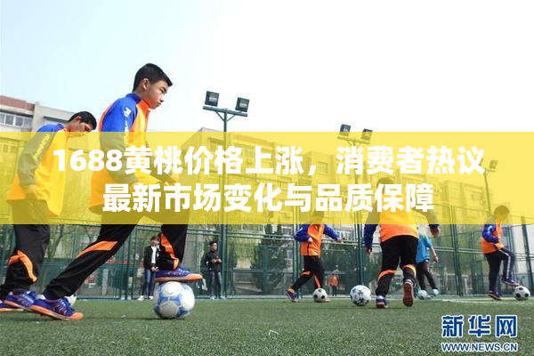 1688黄桃价格上涨，消费者热议最新市场变化与品质保障