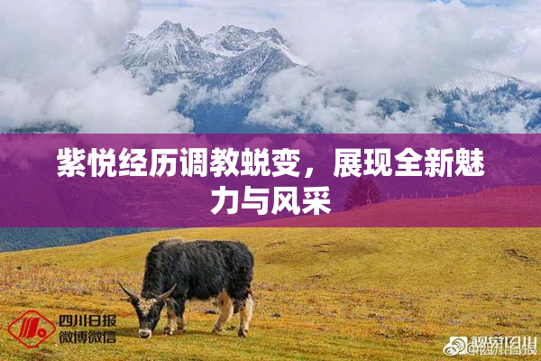 紫悦经历调教蜕变，展现全新魅力与风采