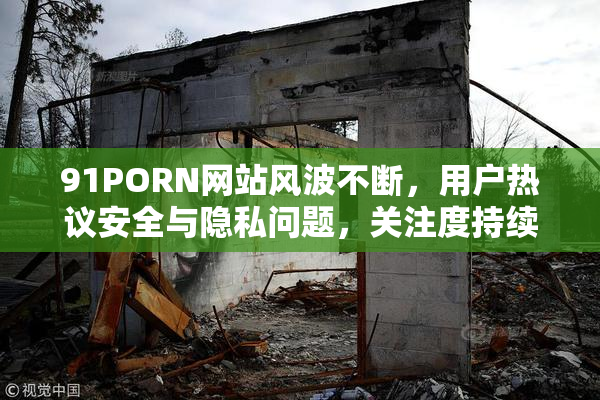 91PORN网站风波不断，用户热议安全与隐私问题，关注度持续上升。