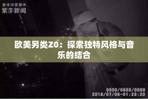 欧美另类Z0：探索独特风格与音乐的结合