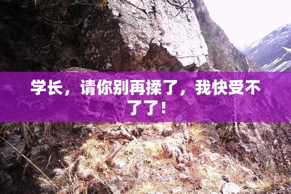 学长，请你别再揉了，我快受不了了！