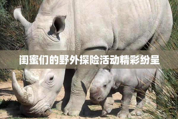 闺蜜们的野外探险活动精彩纷呈