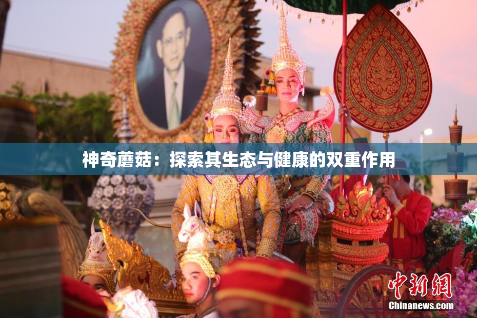 神奇蘑菇：探索其生态与健康的双重作用