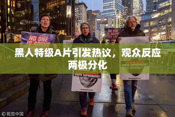 黑人特级A片引发热议，观众反应两极分化