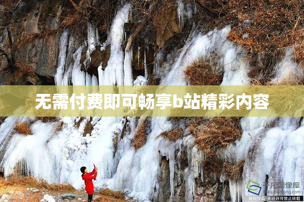 无需付费即可畅享b站精彩内容