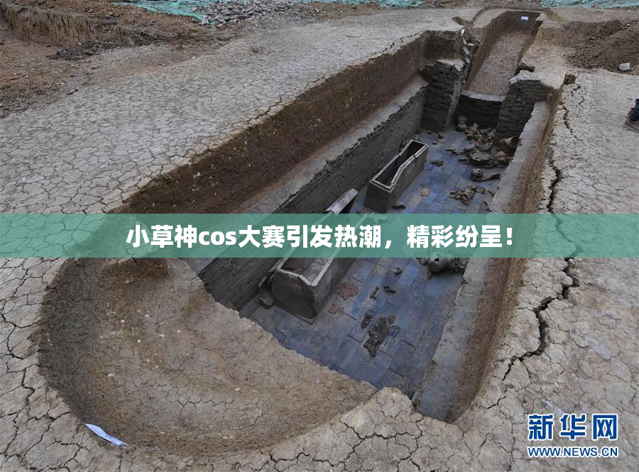 小草神cos大赛引发热潮，精彩纷呈！