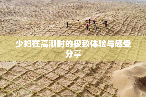 少妇在高潮时的极致体验与感受分享