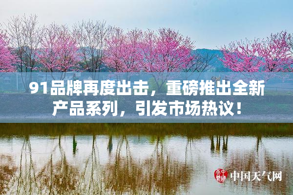91品牌再度出击，重磅推出全新产品系列，引发市场热议！