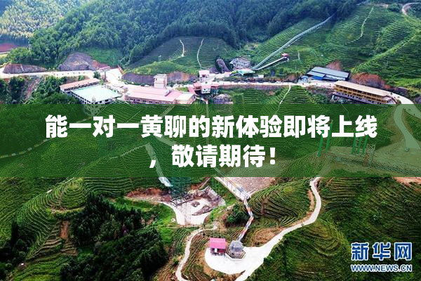 能一对一黄聊的新体验即将上线，敬请期待！