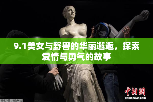 9.1美女与野兽的华丽邂逅，探索爱情与勇气的故事